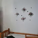Cat * Krakau