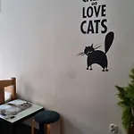 Cat *