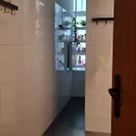 Cat * Krakau