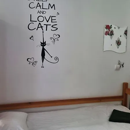 Cat Hostel