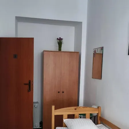 Hostel Cat