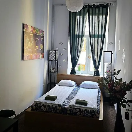 Cat Krakow