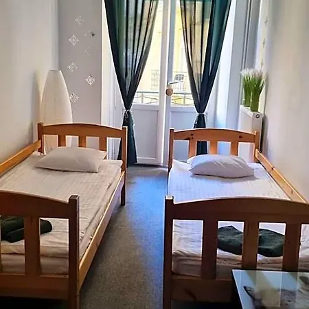 Albergue Cat