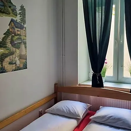 Albergue Cat