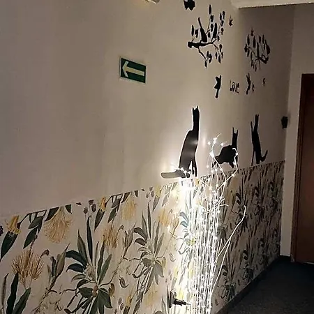 Albergue Cat Cracóvia