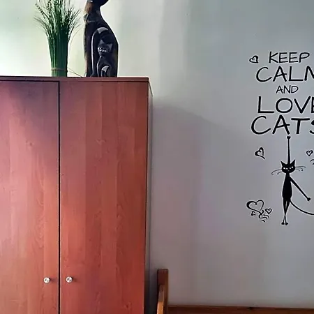 Cat Albergue *