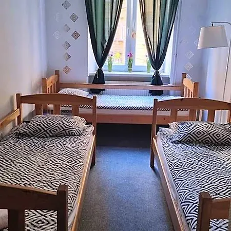 Cat Albergue