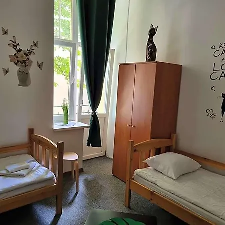 Albergue Cat