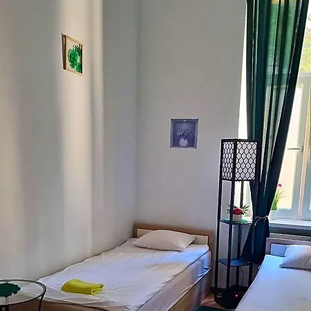 Albergue Cat *