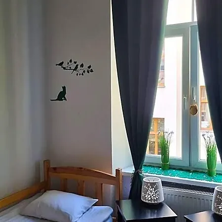 Cat Albergue Cracóvia