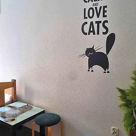Cat *