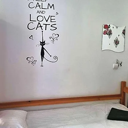 Cat * Cracovia