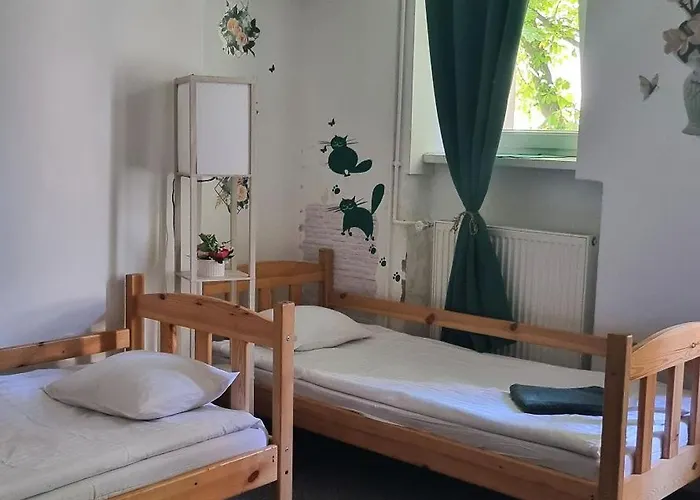 Cat Hostel Krakau