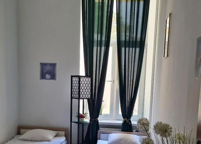 بيت شباب Cat كراكوفيا