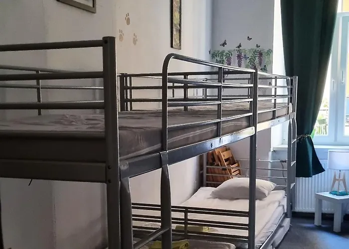 بيت شباب Cat كراكوفيا