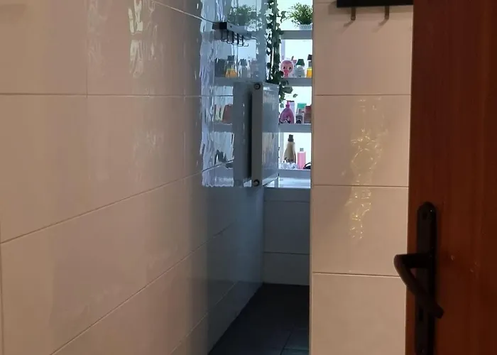 Cat * كراكوفيا