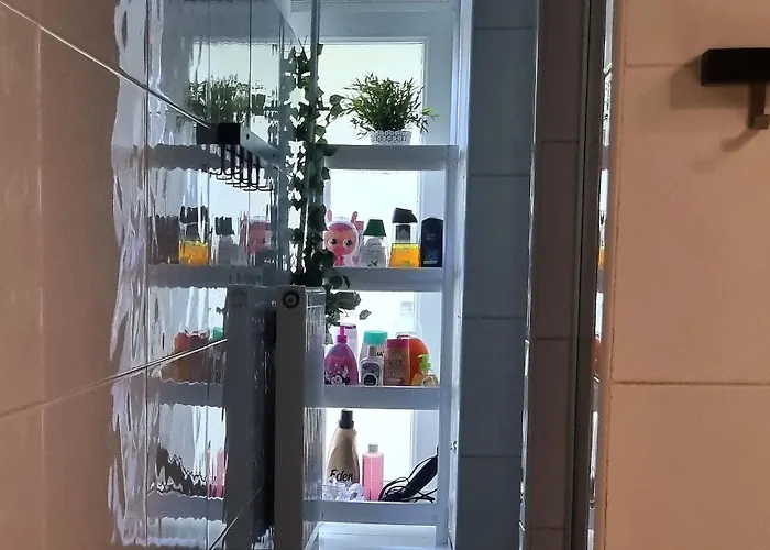 Cat كراكوفيا