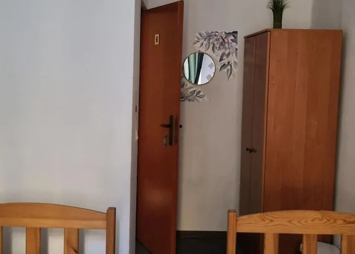 Cat كراكوفيا