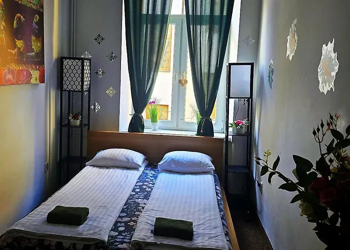 Cat * كراكوفيا