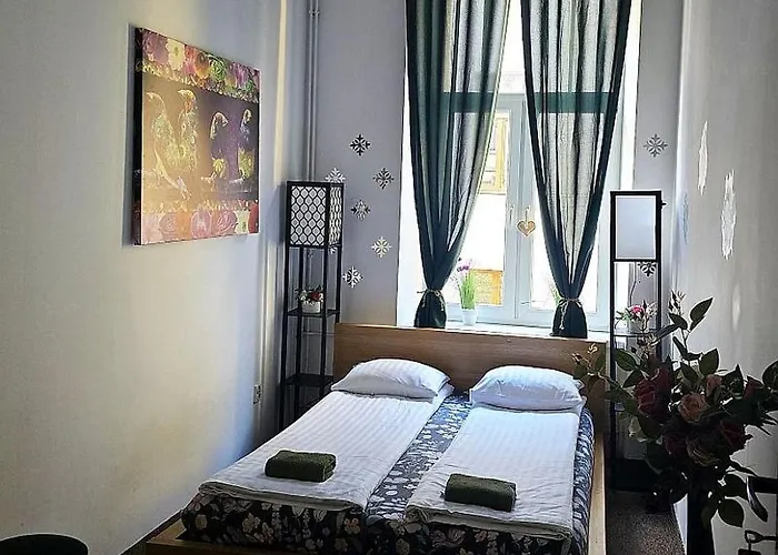 Cat كراكوفيا