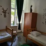Cat بيت شباب