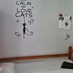 Cat بيت شباب