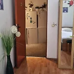 Cat *