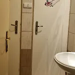 Cat بيت شباب كراكوفيا