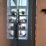 Cat كراكوفيا