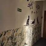 Cat بيت شباب كراكوفيا