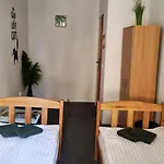 Cat كراكوفيا