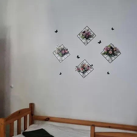 Cat * Kraków