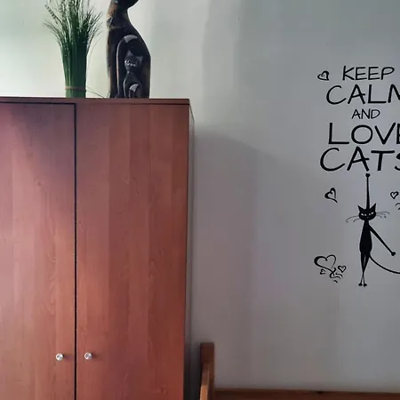 Cat Hostal *