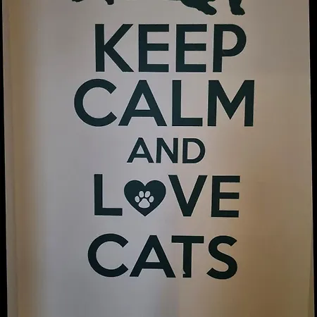 Cat Hostal *