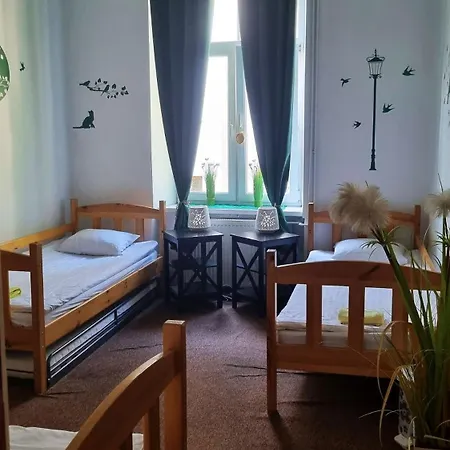 Cat Hostal