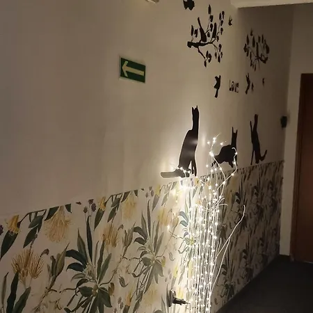 Cat Hostal Cracovia